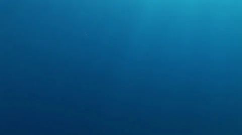 Scooters and Scuba Divers Diving off the Coast of Hawaii Stock Footage 23115877