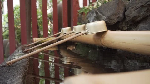 Scooters lying on a small cleansing water sink in front of an Japanese temple Stock Footage 108568087