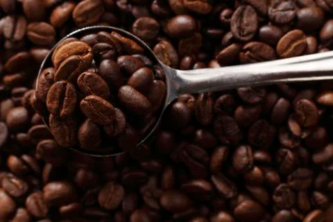 Scope of coffee bean Foto stock