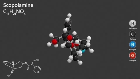 Scopolamine. 3D model of a molecule. C17H21NO4. Gray background. 3D render Stock Footage 295115356