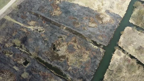 Scorched dry grass and green grass on the banks of a small river Stock-Footage 128276005
