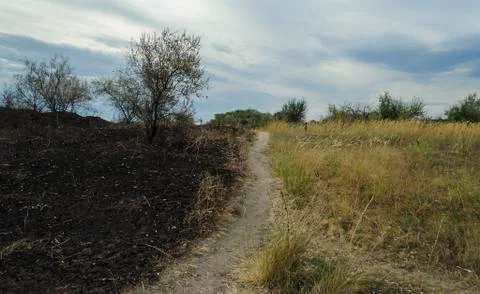 Scorched field Stock Photos
