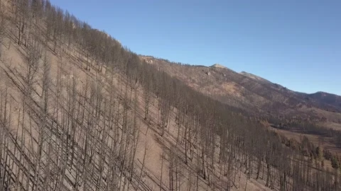 Scorched mountainside Stock Footage 166486491