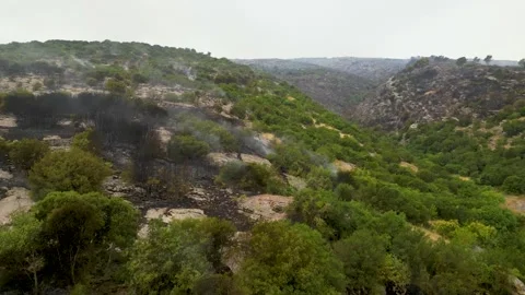 Scorched surface on the side of the mountain caused by wildfires 動画素材 283060329
