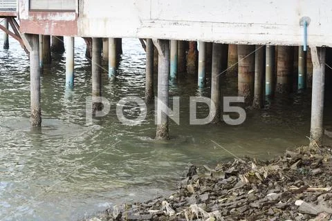Score pile on the beach. Stock Photos