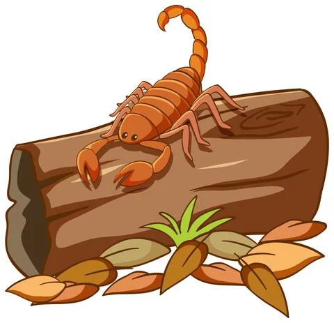 Scorpio on decayed timber Stock Illustration