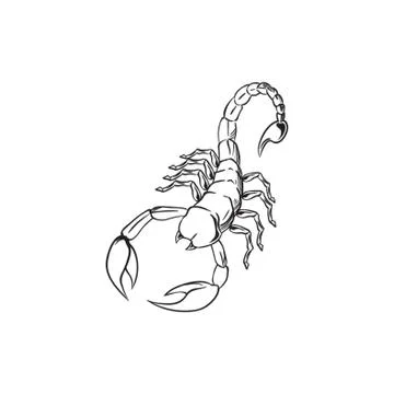 Scorpio 库存插图