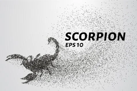 Scorpio of the particles. Scorpio consists of circles and points. Vector il.. Stock Illustration