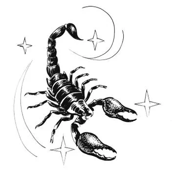 Scorpio sign Stock Illustration