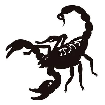 Scorpion 002 Stock Illustration