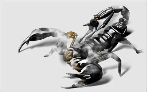 Scorpion 2 Stock Illustration
