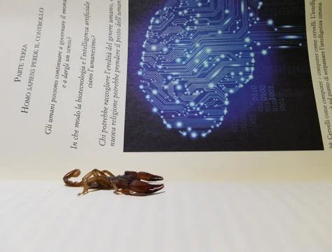 Scorpion on the book Stock-Fotos