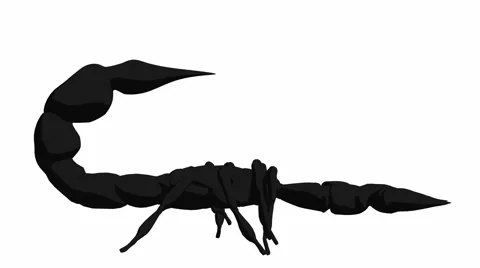 Scorpion Stock Footage 973927