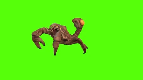 Scorpion Video stock 270390455