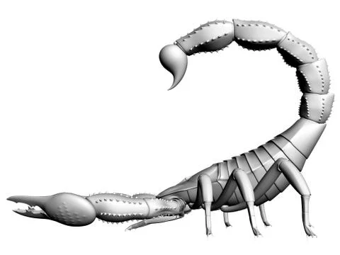 Scorpion イラスト素材