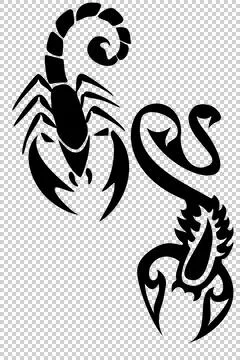 Scorpion Stock Illustration