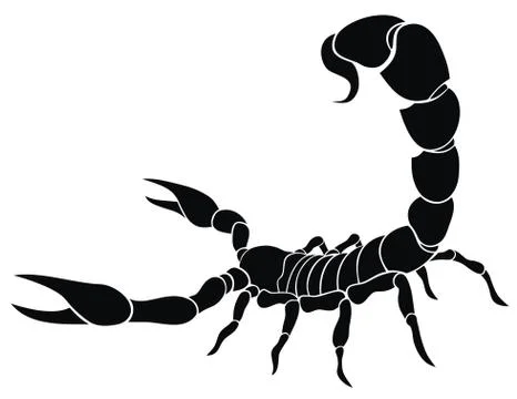 Scorpion Stock Illustration