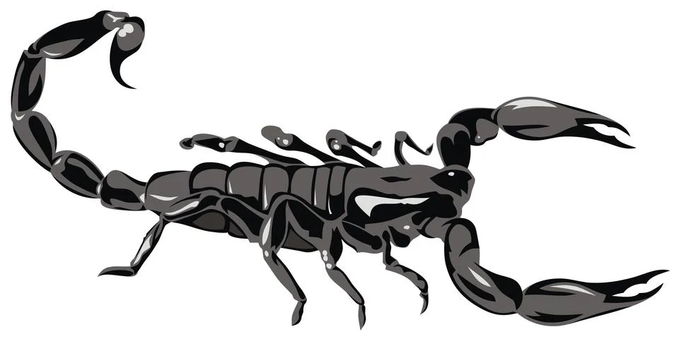 Scorpion Stock Illustration