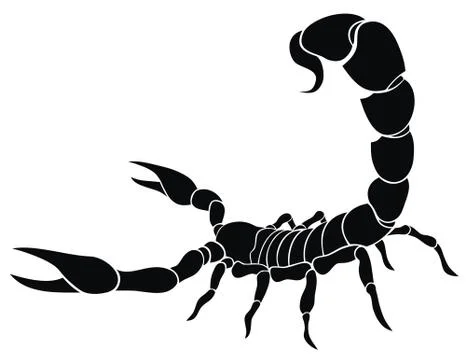 Scorpion Stock Illustration