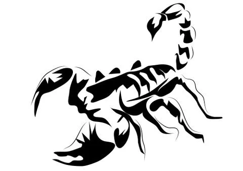 Scorpion Stock Illustration
