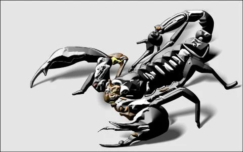Scorpion Stock Illustration