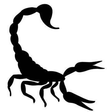 Scorpion Stock Illustration