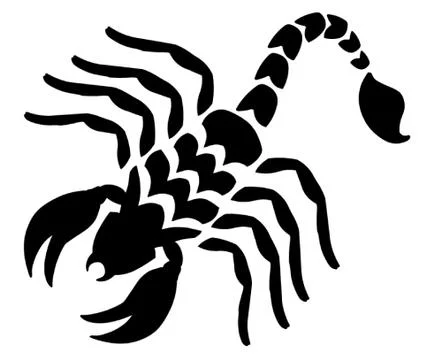 Scorpion Stock Illustration