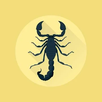 Scorpion Stock Illustration