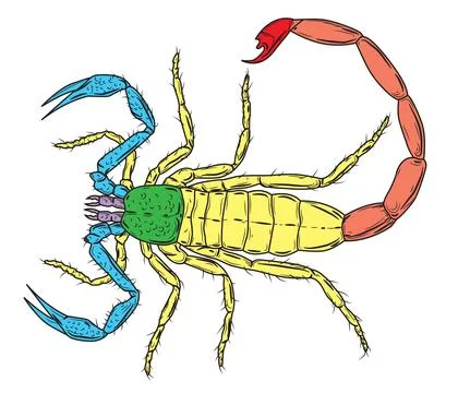 Scorpion Illustrazione stock