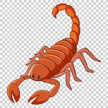 Scorpion illustration on white background Ilustração Stock