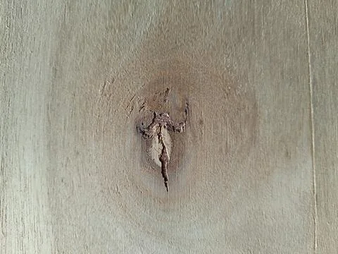 Scorpion-like patterns on the surface of thin boards Stock Photos