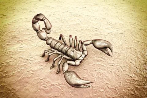 Scorpion, realistic illustration Stock Illustration