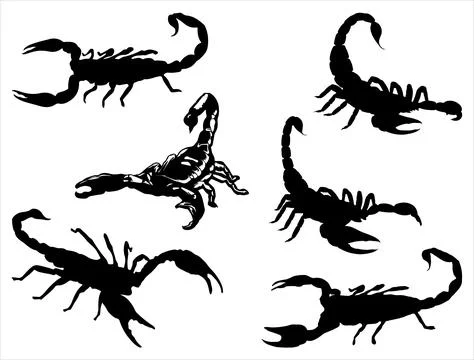 SCORPION SILHOUETTE VECTOR ART Stock Illustration