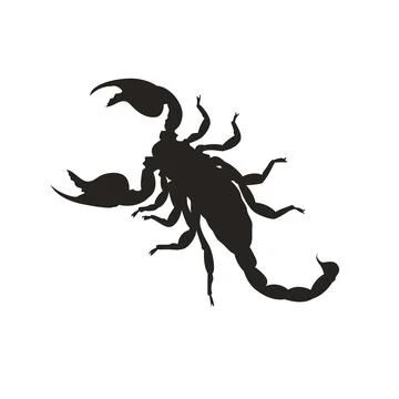 Scorpion silhouette vector illustration. Illustrazione stock