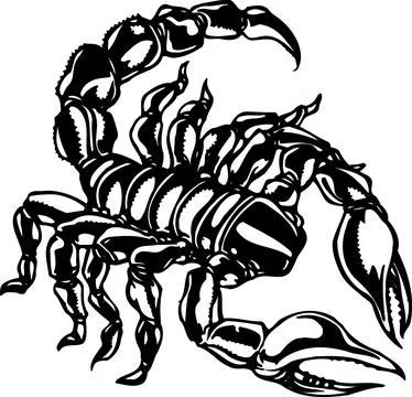 Scorpion Silhouette Vector Illustration Stock Illustration