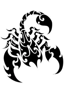 Scorpion Vector  Stock Illustration