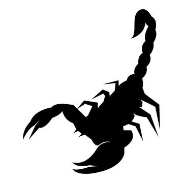 Scorpion vector illustration design Stock Illustration