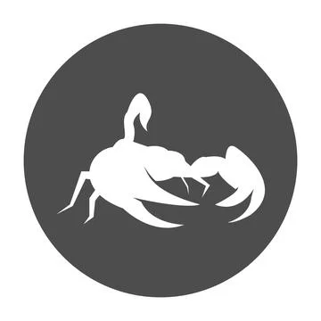 Scorpion vector illustration design Stock Illustration