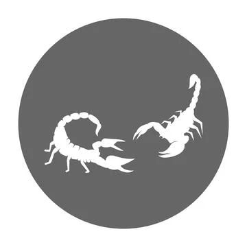 Scorpion vector illustration design Stock Illustration