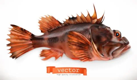 Scorpionfish. 3d vector icon. Seafood, realism style Stock Illustration