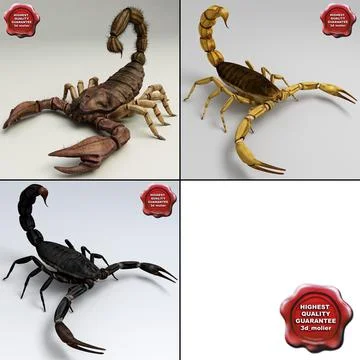 3D Модель: Scorpions Collection # 91536253 | Pond5