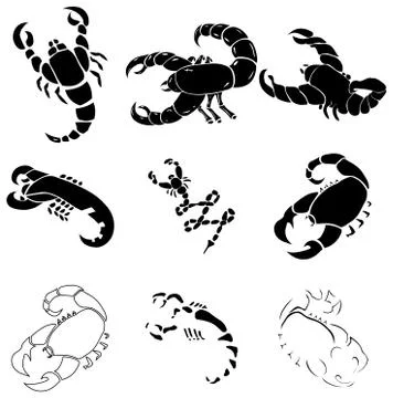 Scorpions Illustrazione stock