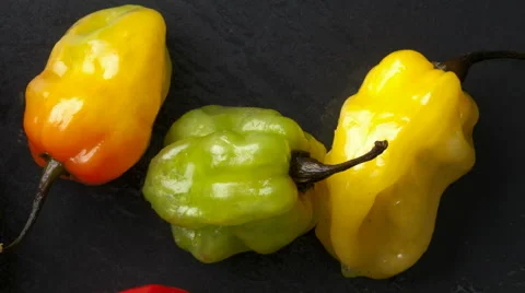 Scotch Bonnet Chilis Stock Footage 64010959