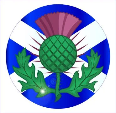 Scotish Flag And Thistle Button Stock Illustration