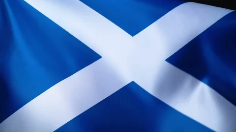 Scotland Flag Flapping Stock Footage 118967256