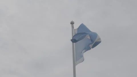 Scotland flag Stock-Footage 220567407