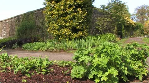 Scotland Video stock 9280081