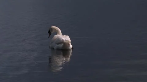 Scotland Видео 9869261