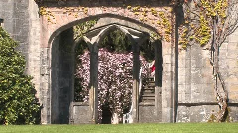 Scotland 스톡 동영상 9875142