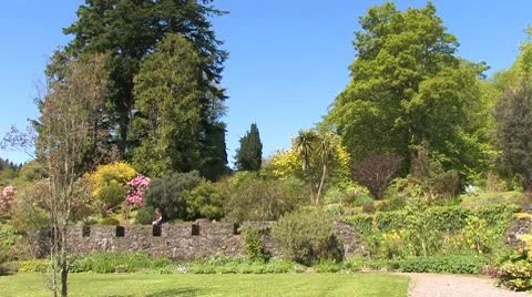 Scotland Видео 9875266